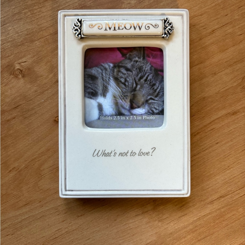 Grasslands Road White Cat Photo Frame